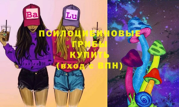 спиды Касимов