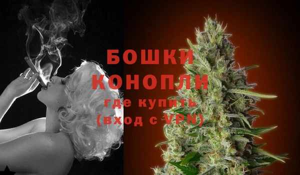 спиды Касимов