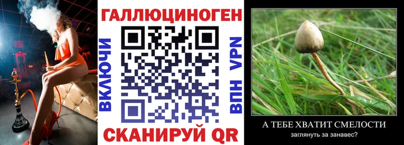 Купить закладки  Бабаево  Псилоцибиновые грибы ЛСД 